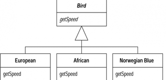 polymorphism